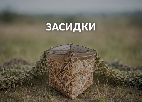 Засидки