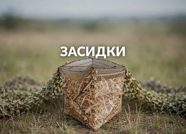 Засидки