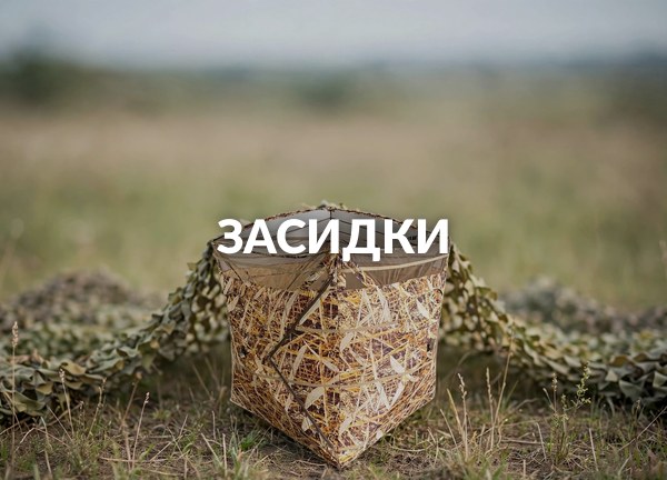 Засидки